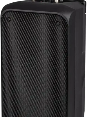 DAP-Audio PSS-110 MKIII 10-Zoll-Batterie-Lautsprecher | Bestpreis