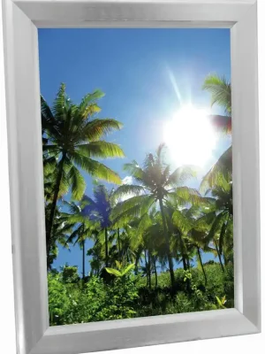 EUROPALMS Reklamewand A2, beleuchtet, aluminium - Direkt bestellen