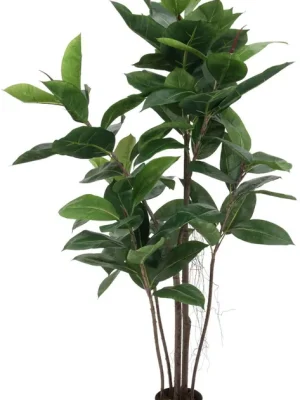 Hochwertig | EUROPALMS Gummibaum, 120cm
