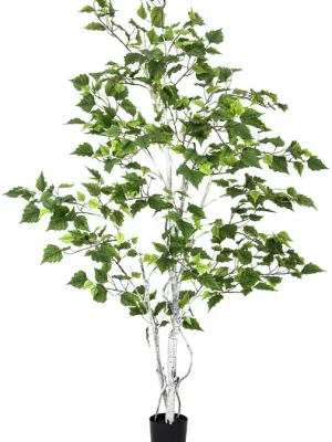EUROPALMS Birkenbaum, 150cm - Kostenlose Rückgabe