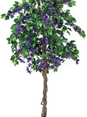 EUROPALMS Bougainvillea, lavendel, 150cm | Preisvorteil