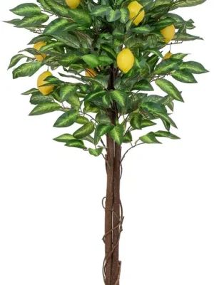 EUROPALMS Zitronenbaum, 150cm - Geprüfte Qualität