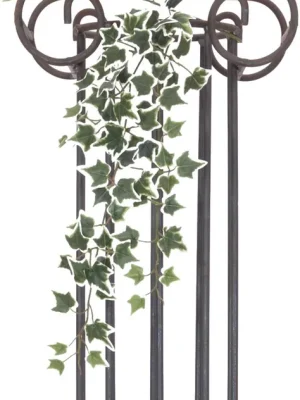 EUROPALMS Holland-Efeubuschranke Classic, 70cm - Sehr gefragt