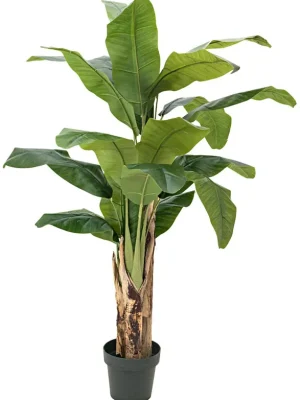 Top bewertet - EUROPALMS Bananenbaum, Kunstpflanze, 120cm