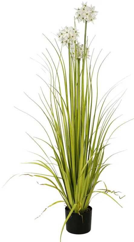 EUROPALMS Alliumgras, Kunstpflanze, weiß, 120 cm | Nur noch heute