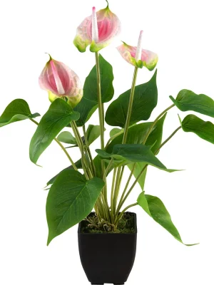 EUROPALMS Anthurie, Kunstpflanze, weiß pink | Bewährte Qualität