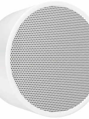 Kundenfavorit - Pöschel DAR-1000 ELA-Wand- und Deckenlautsprecher