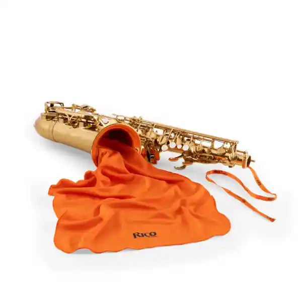 Markenqualität | D‘addario RSWAB-LG Rico Anti-Microbial Swab, Large Instruments