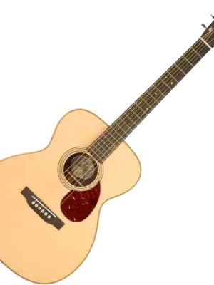 Collings Traditional OM2H T 35208 - natural high gloss | Aktionspreis
