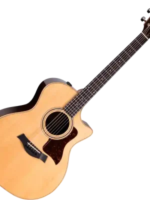 Neuheit | Taylor 414ce Studio - natural