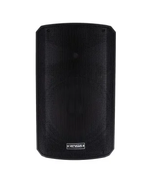 Definitive audio INPULSE 15 BA DSP - Neu