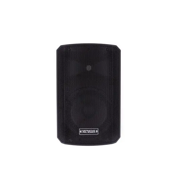 Definitive audio PANDA 8A BT - Schnäppchen