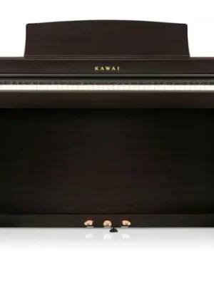 Kawai CN-301 R | Premium
