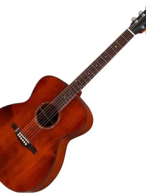 Neue Ware - Eastman PCH1-OM - truetone satin classic