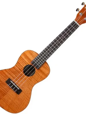 Kala Exotic Mahogany Concert - natural | Sofort bestellen