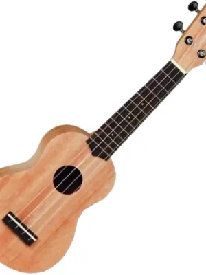 Qualitätsprodukt | Tanglewood TUMSTC Pack Concert - natural