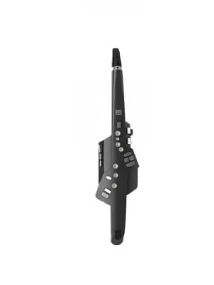 Hammerpreis | Roland Aerophone AE-10G