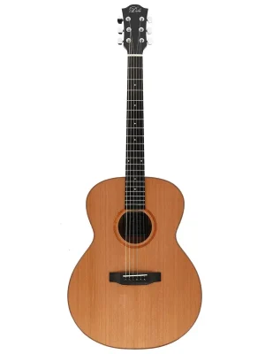 Sicher bezahlen - Duke Guitars GA-MC