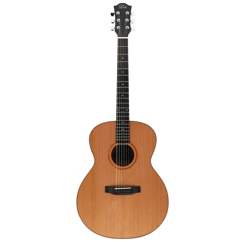 Sicher bezahlen - Duke Guitars GA-MC