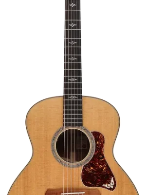 Deal | Taylor Gold Label 814e 1204165003
