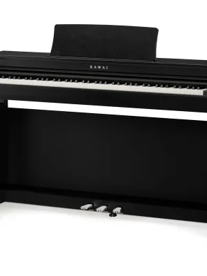 Reduziert - Kawai CN201 B