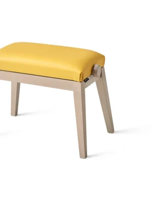 Casio BG-50-VINYL-HM Piano Bench | Top-Angebot