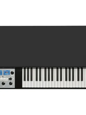 Preisvorteil - Mellotron M4000D Black