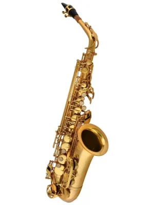 Preisknaller - Chicago Winds CC-AS4100L Altsaxophon Goldlack