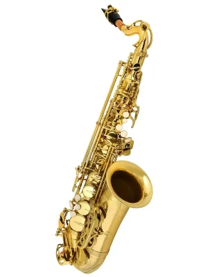 Preisknaller - Chicago Winds CC-AS3100 Kinder-Altsaxophon Goldlack