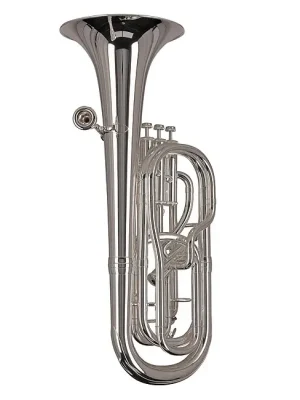 GEWA Germany BH-651S Ambition Bb-Baritonhorn inkl. Etui | Sicher einkaufen