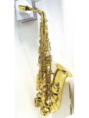 aS ARNOLDS & SONS AAS-110 YG Alt-Sax Alt-Saxofon inkl. Comfort Case, vergoldet - Begrenztes Angebot