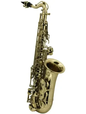 ROY BENSON AS-201 Kinder Eb-Alt Saxophon inkl. Etui, lackiert | Zertifiziert