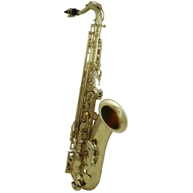 ROY BENSON TS-202 Bb-Tenor Saxophon inkl. Etui, lackiert | Top-Angebot