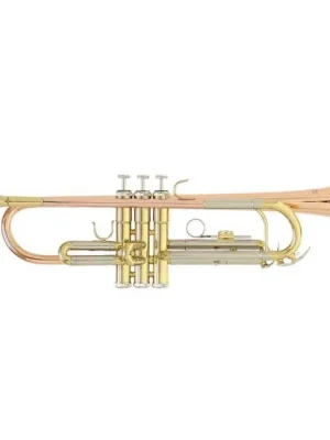 Preis gesenkt | ROY BENSON TR-202 L Bb-Trompete mit Leichtetui, lackiert
