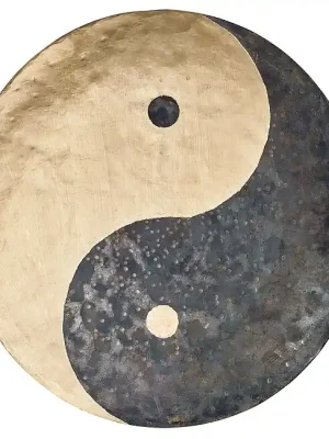 Zertifiziert | MEINL WGYY16 Sonic Energy Wind Gong Yin & Yang 16 Zoll