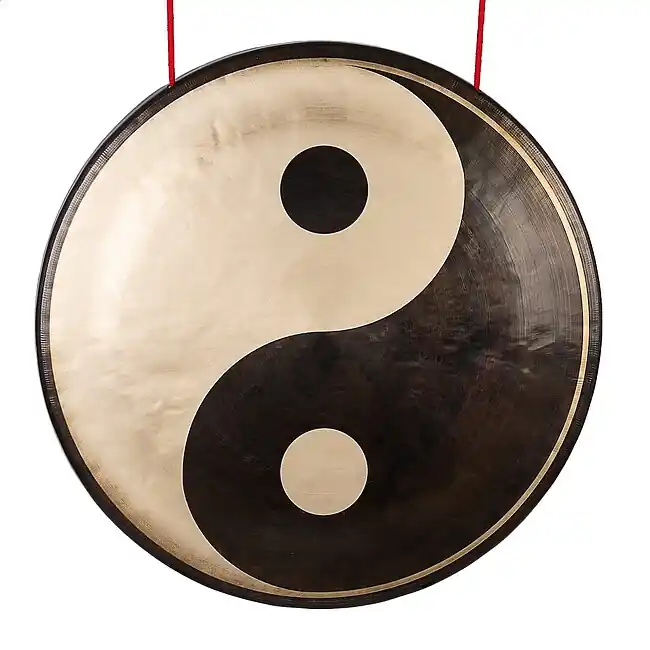 Schnell zugreifen | SELA SEGO20CHY Chau-Gong Yin–Yang 20 Zoll Gong inklusive Baumwolltasche