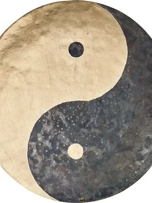 Hochwertig - MEINL WGYY22 Sonic Energy Wind Gong Yin & Yang 22Zoll/55 cm