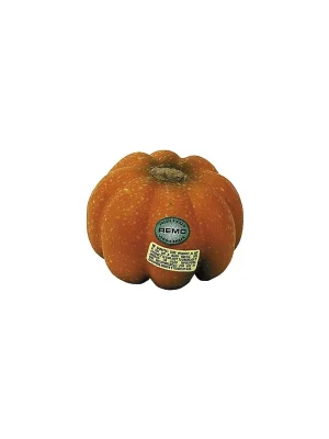 Auf Lager | Remo Vegetable Shaker Brauner Kürbis