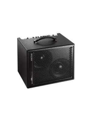 Nur begrenzt verfügbar - AER Amp Three Bass Combo