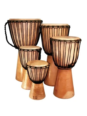 Sonderangebot - Terre Djembe Standard Mahagoni 50cm