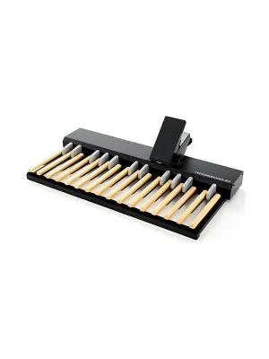 Clavia Nord Pedal Key 27 | Endet bald
