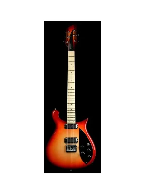 Neuzugang - Rickenbacker 650C Colorado Fireglo