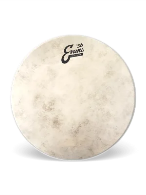 Premium-Qualität | Evans 12" Calftone - Tom Fell