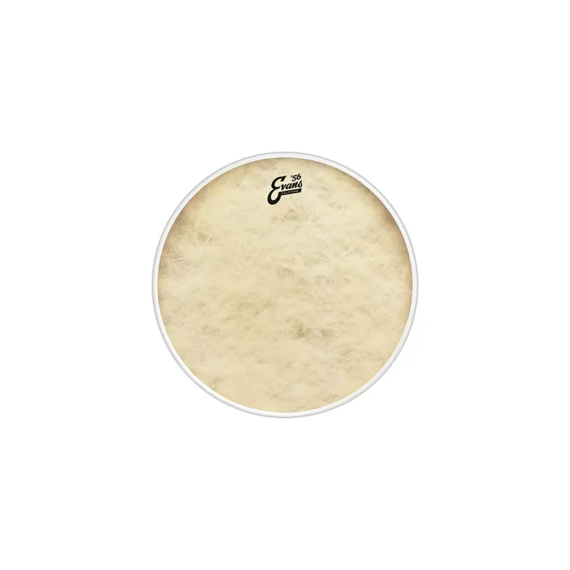 Aktion | Evans 13" Calftone - Tom / Snare Fell