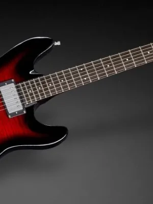 Hochwertig | Warwick FDS Diablo Supreme Burgundy Blackburst Transparent High Polish