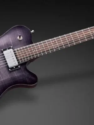 Warwick D-Series Panthera Supreme - Nirvana Black Transparent High Polish - Nur wenige verfügbar