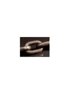 Premium-Qualität - Thiele Kettenglied 42x146 mm