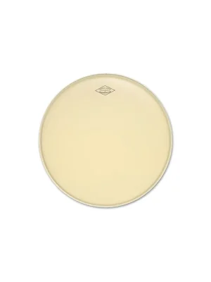 Aquarian 13" Modern Vintage Tom Fell, coated | Schnäppchen