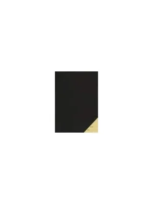 Aktionspreis | Star Chormappe Standard - schwarz, diagonale Klarsichttaschen, 10mm Rücken