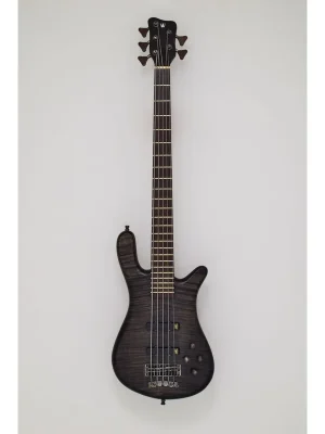 Warwick Warwick custom build Streamer 5 string - Top-Angebot